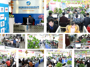 重庆市网站建设、网络推广与软件开发 一站式技术服务全解析