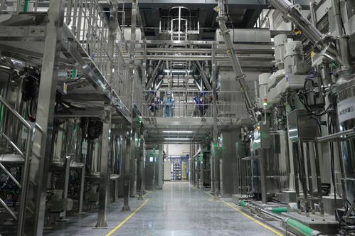 一场动力电池安全性的革命 弗迪重庆工厂与刀片电池的诞生